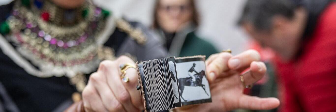 Cabinet de Curiosités